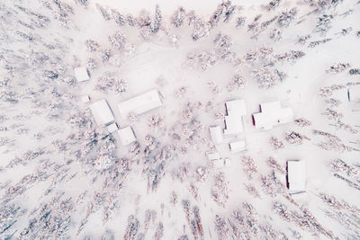 Aerial view of trees and houses on snowcapped field during winter