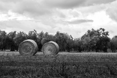 Hay bales on field against cloudy sky