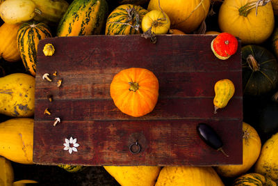 High angle view of pumpkins on table