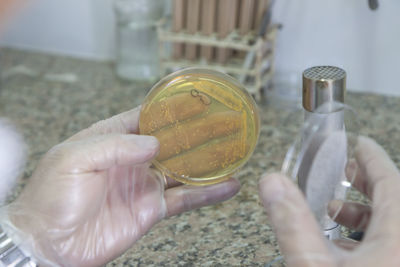 Close-up of hand holding spray bottle