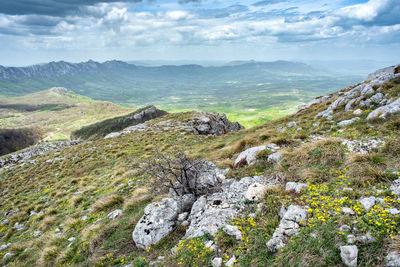 Scenic view of landscape against sky