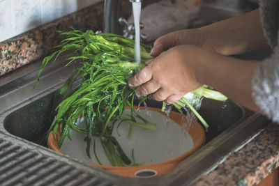 Cropped hands of woman washing chicory in kitchen at home