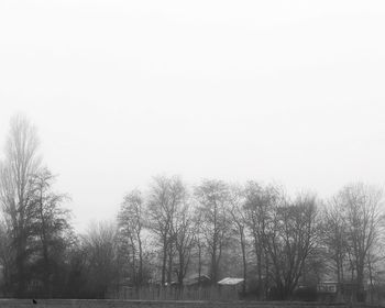 Trees on snow covered landscape against clear sky