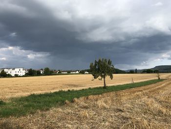 Scenic view of agricultural field against sky