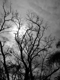 Low angle view of bare tree against sky