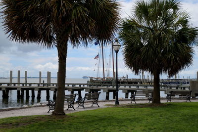 Palm trees on beach against sky