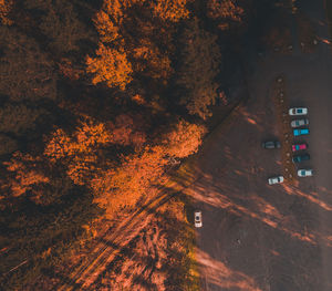 High angle view of road amidst trees in city