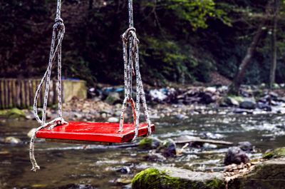 Red boat hanging on river by trees in forest