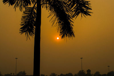 Low angle view of silhouette palm trees against orange sky