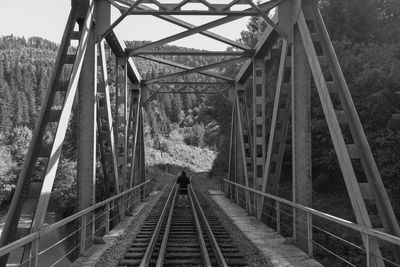 Railway bridge in forest
