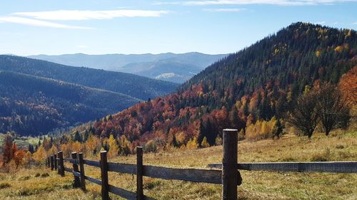 Scenic view of landscape during autumn