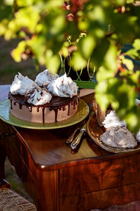 Close-up of cake on table