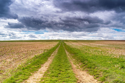 Scenic view of agricultural field against sky