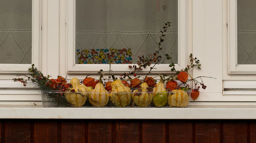 Flowers on window