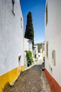 Narrow alley along buildings