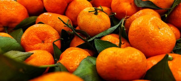 View of piles of fresh oranges