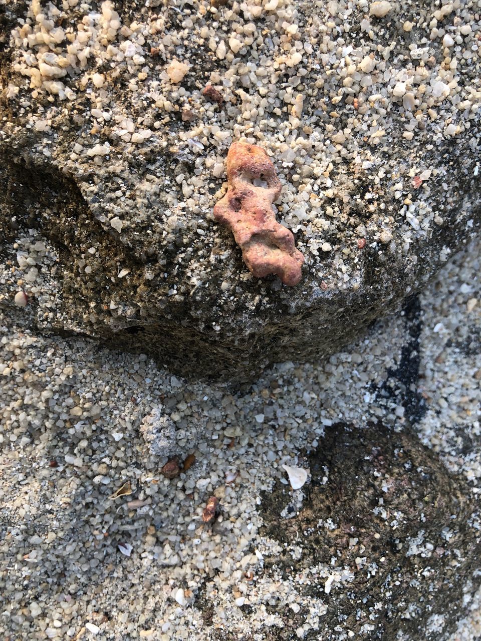 HIGH ANGLE VIEW OF ROCK ON ROCKS