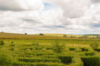 View of fields against cloudy sky