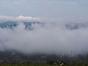 Scenic view of landscape against sky
