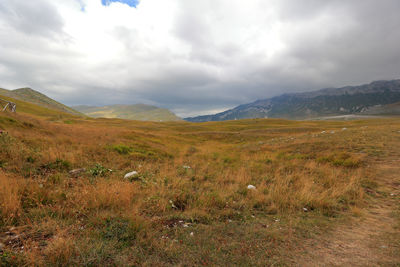 Scenic view of landscape against sky