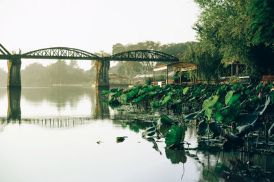 Arch bridge over river against sky