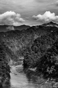 Scenic view of river amidst trees against sky