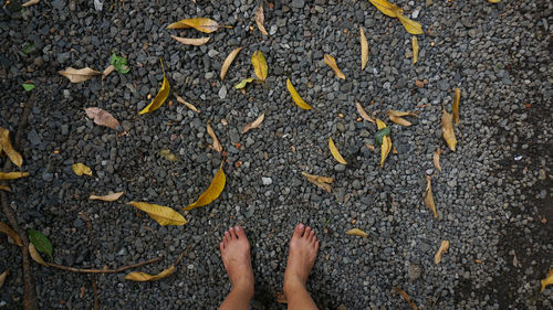 Low section of person standing on ground