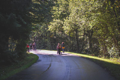 People on road amidst trees in park