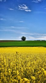 Scenic view of field against cloudy sky