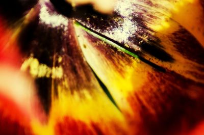 Extreme close up of abstract background
