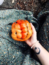 High angle view of hand holding vegetable on land