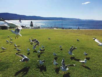 Scenic view of landscape