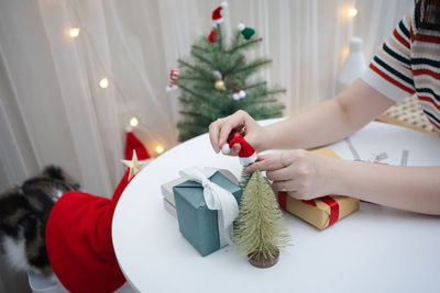 Midsection of woman holding christmas tree