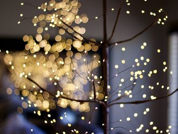 Low angle view of illuminated christmas lights