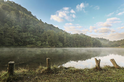 Scenic view of lake by trees against sky