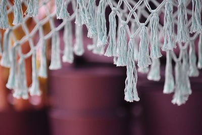 Close-up of tassels hanging