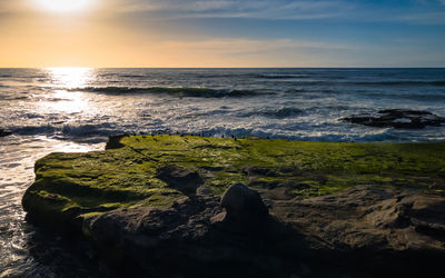 Close-up of sea against sky