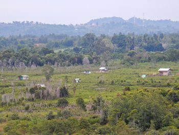 Scenic view of green landscape against sky