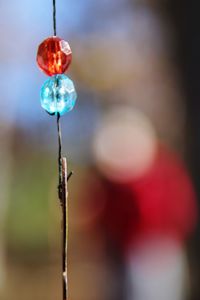 Close-up of christmas lights