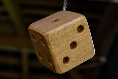 Close-up of leaf hanging on wood