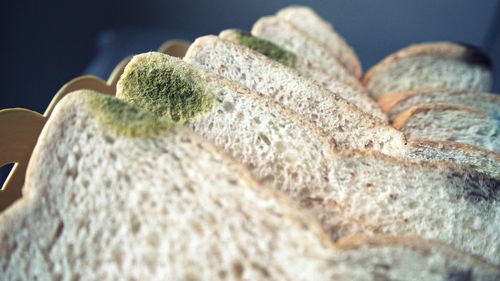 Close-up of bread