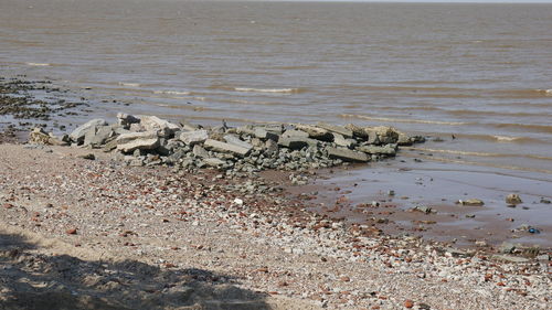 Scenic view of beach