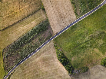 High angle view of agricultural field