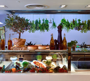 Potted plants in front of kitchen