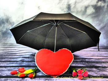 Heart shape made of red rose flower against sky