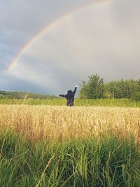 field