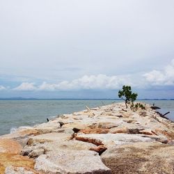 Scenic view of sea against sky