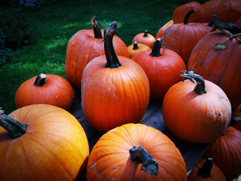 Close-up of pumpkins on field during autumn