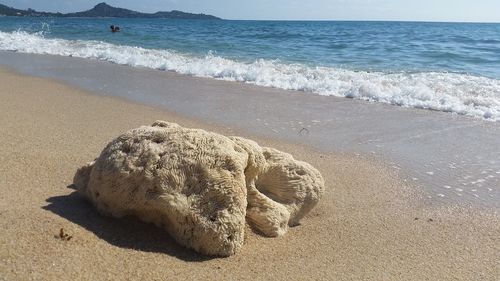 Scenic view of beach