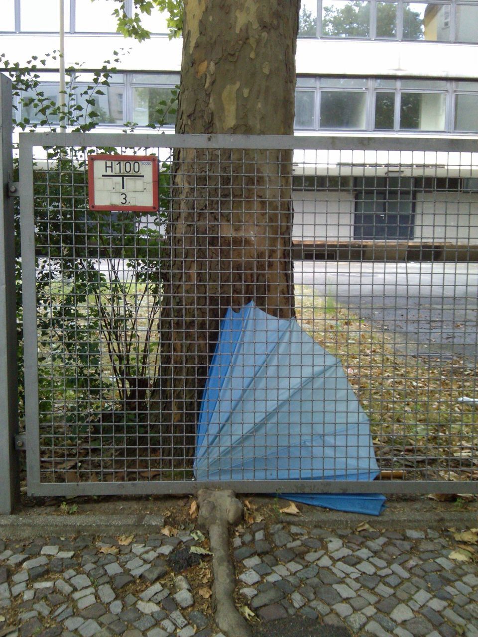 building exterior, built structure, architecture, window, city, protection, glass - material, tree, building, day, fence, outdoors, safety, metal, wall - building feature, chainlink fence, reflection, blue, no people, text